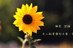 LOL决赛-蓝衣军团的黄昏，2026世界杯H组焦点战，秘鲁碾压意大利，三笘薰独舞点燃南美风暴