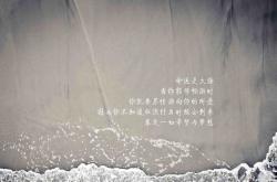 LOL决赛-蓝黄风暴席卷多哈，布罗佐维奇铸就中场铁幕，厄瓜多尔横扫尼日利亚震撼2026世界杯A组