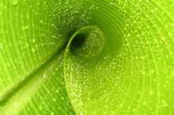 英雄联盟总决赛-41分生死局，布克诠释现代得分艺术，凯尔特人团队至上破解国王