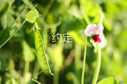 -跨越时空的唯一性，从国家队的血脉压制到个人的封神之夜