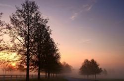 -一人拆解，全队淬炼，乔治教科书演绎，魔术凭什么驯服野性公牛？