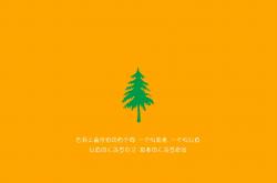 -CBA莫兰特狂暴夜！施韦德引爆魔鬼主场，山西三分雨淹没广厦