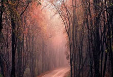 NBA｜国米双星闪耀，命运十字路口的双重奏！