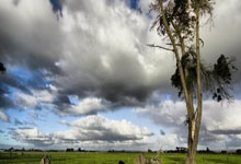 欧洲足坛双重风暴!德国战车熄火引爆连锁反应,亚平宁争冠乱局再添薪柴