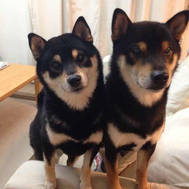 门迪终场神兵天降，国际米兰压哨绝境逆转智利