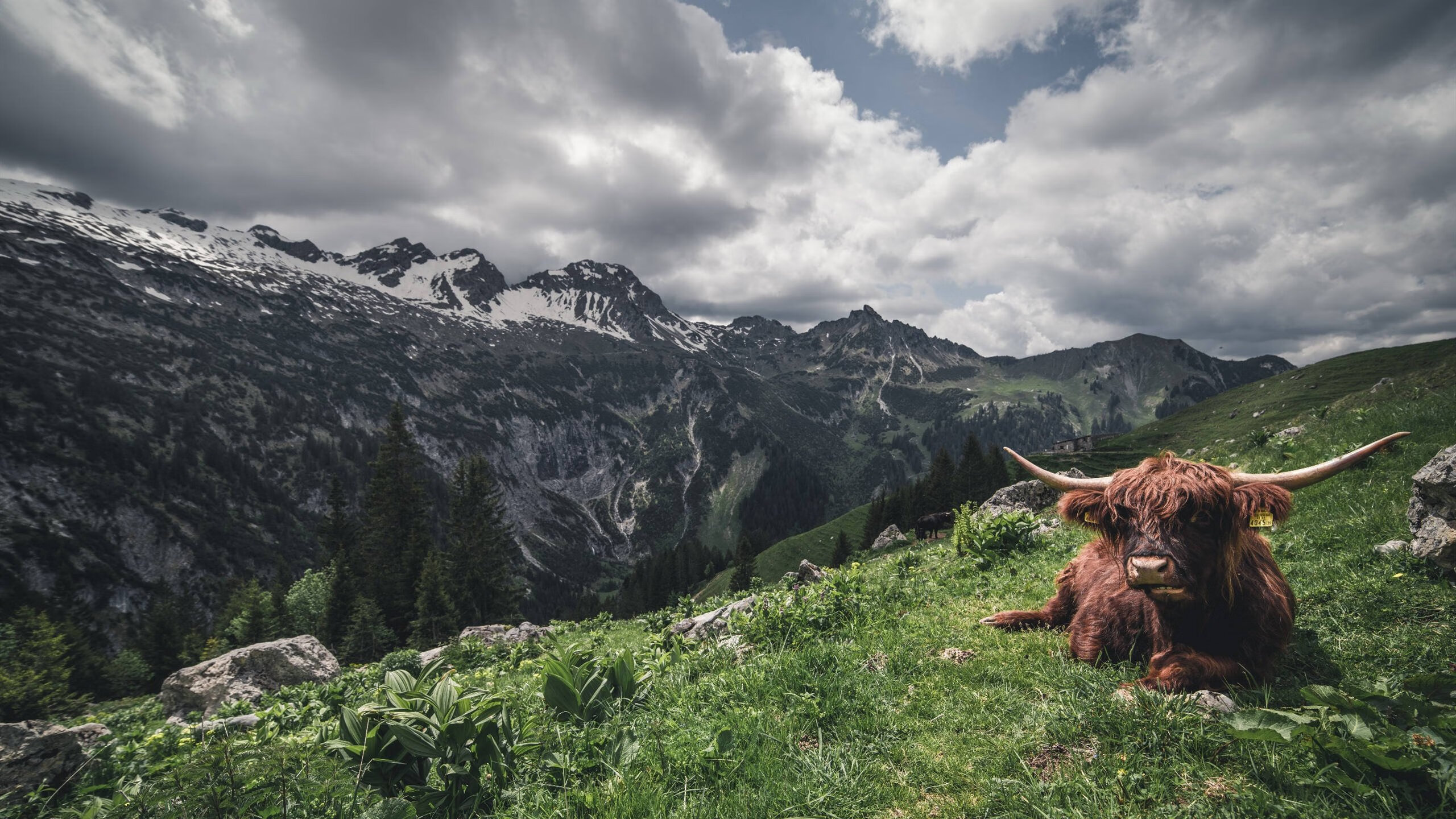 爆发与压制，格纳布里的闪光与拉齐奥的战术迷宫