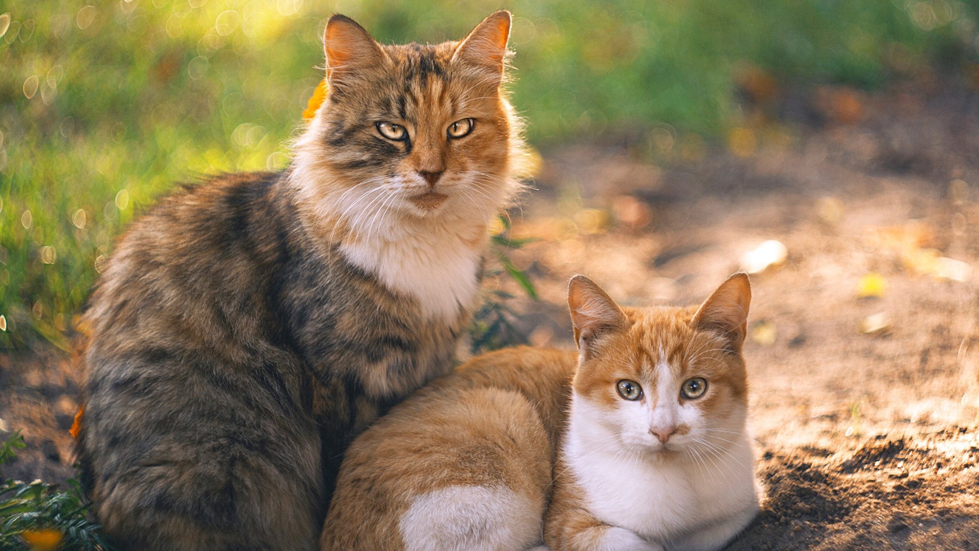 星辉倒转,当钢铁洪流淹没维京人,奥斯梅恩如何成为东方的关键先生?