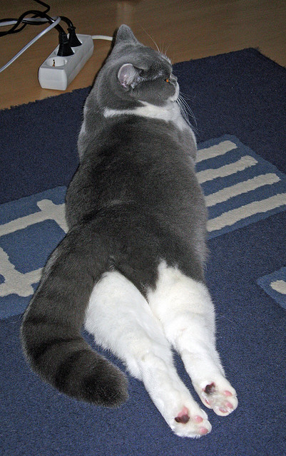 轻舟已过万重山,当文班亚马在CBA卷起新浪潮