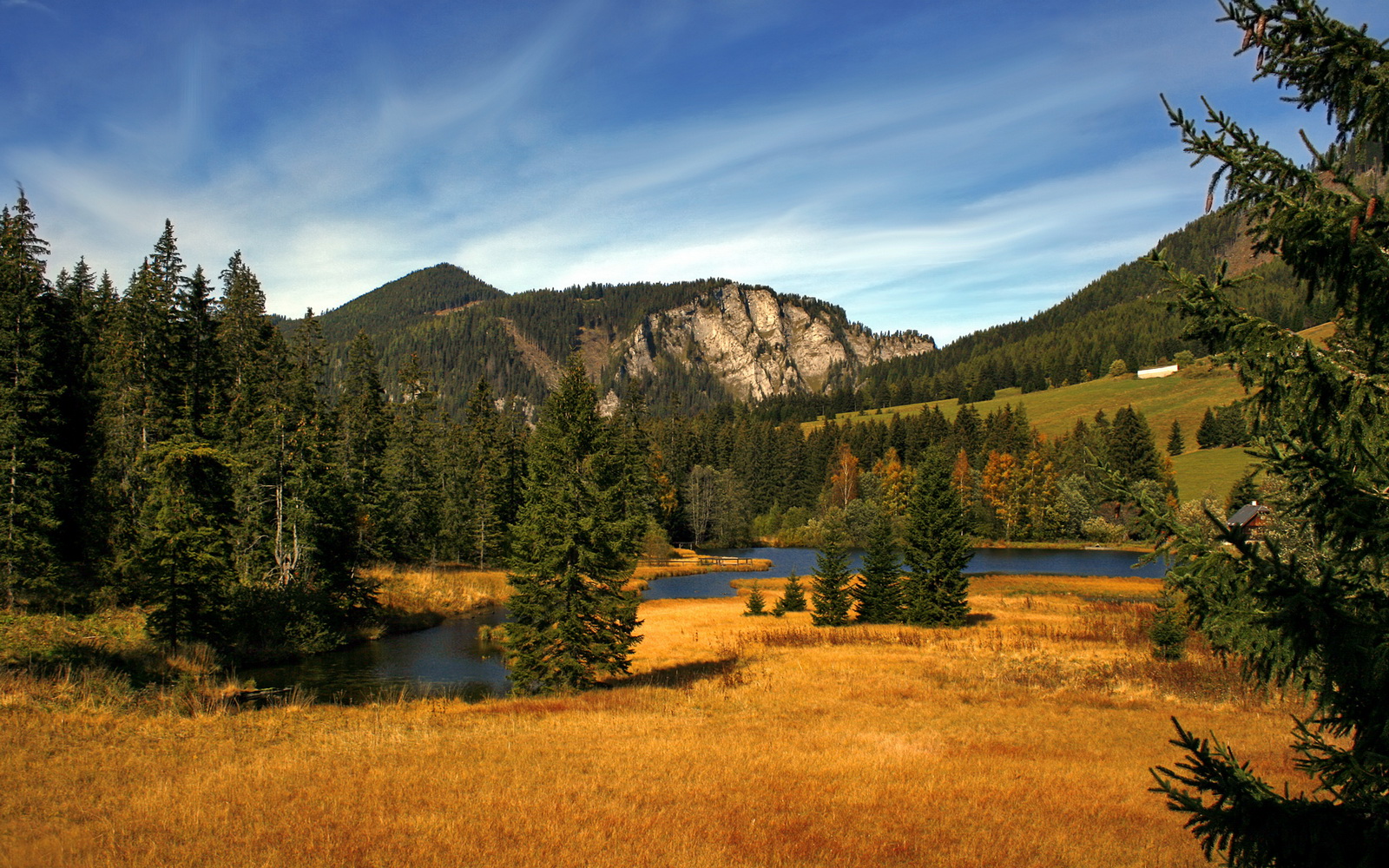 唯一一次胜利，魔术终结对太阳十年魔咒，伦纳德替补席杀出定乾坤