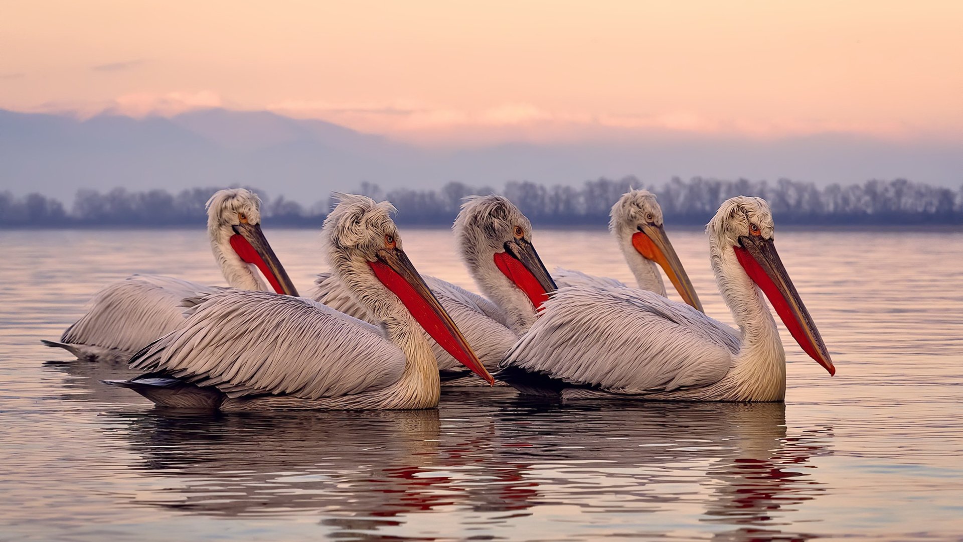 柏林之墙与几内亚之矛,当冠军级的灵魂点燃草根逆袭