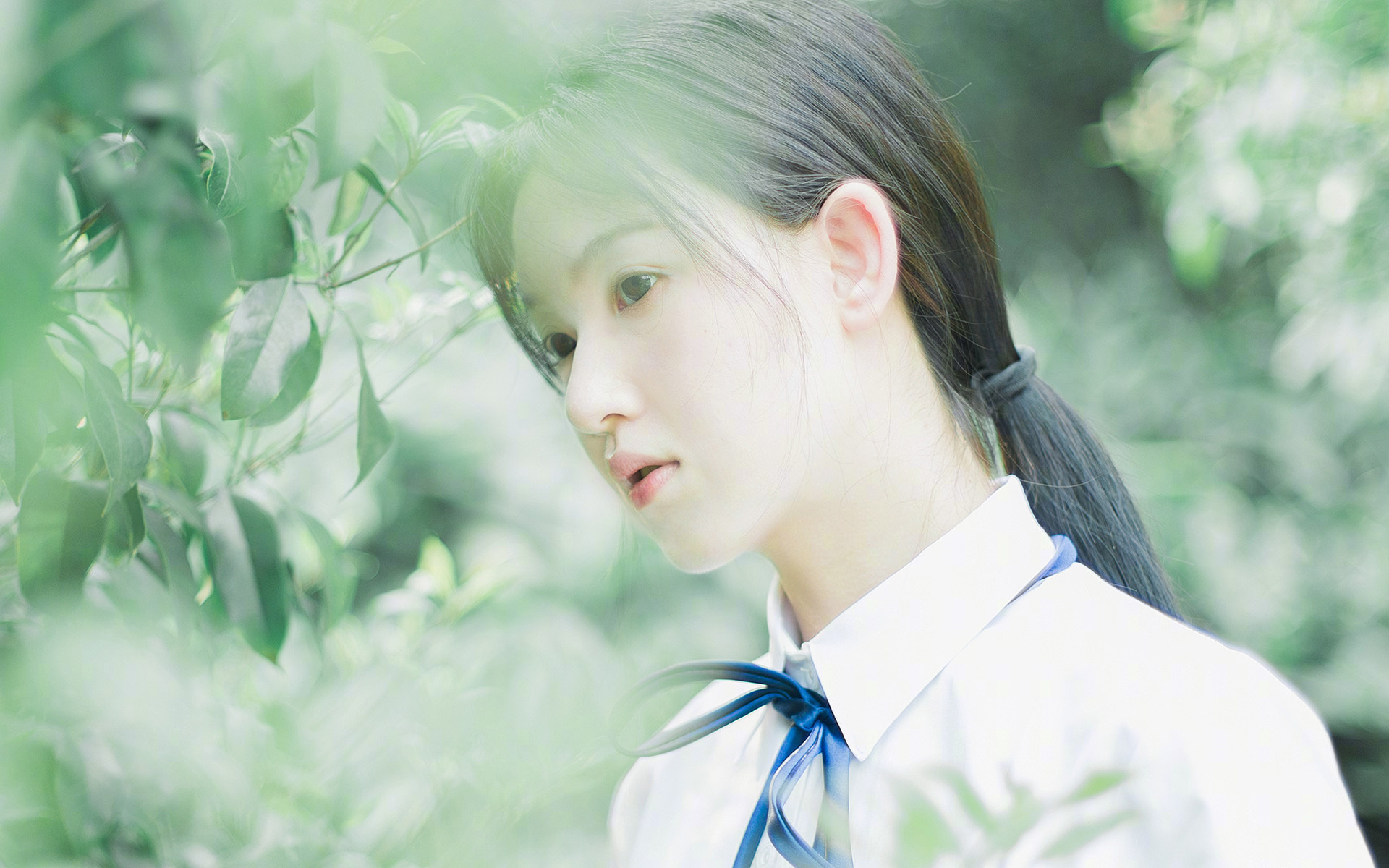 跨界风暴，辽宁队力压快船创奇迹，爱德华兹欧冠半决赛独舞定乾坤