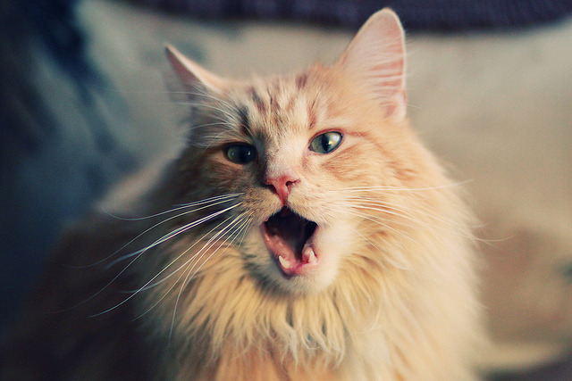 五线谱上的决定性休止符，奥利维耶与尤文逆转命运的47分钟