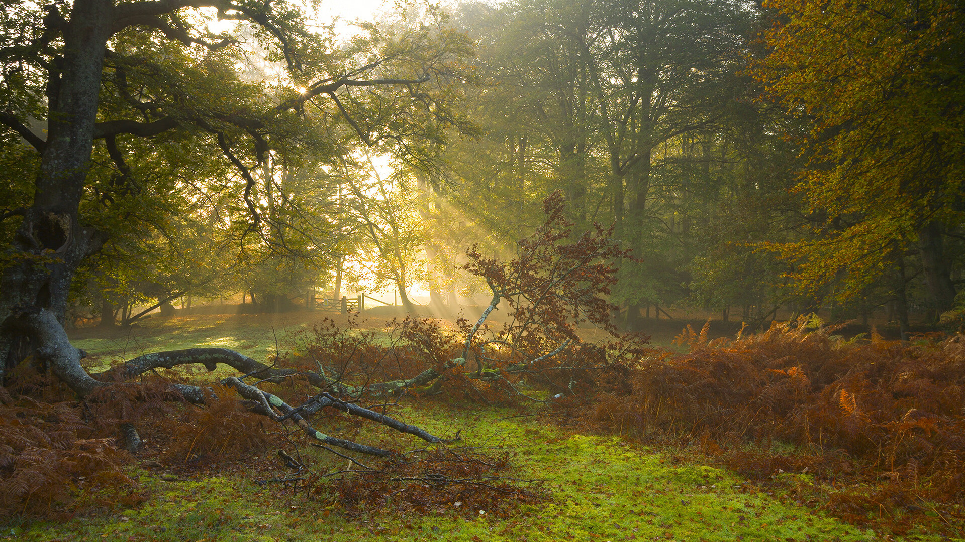没有巴尔韦德的巴尔韦德公式，亚特兰大的钢铁军团如何复刻皇马基因，强势击沉阿森纳
