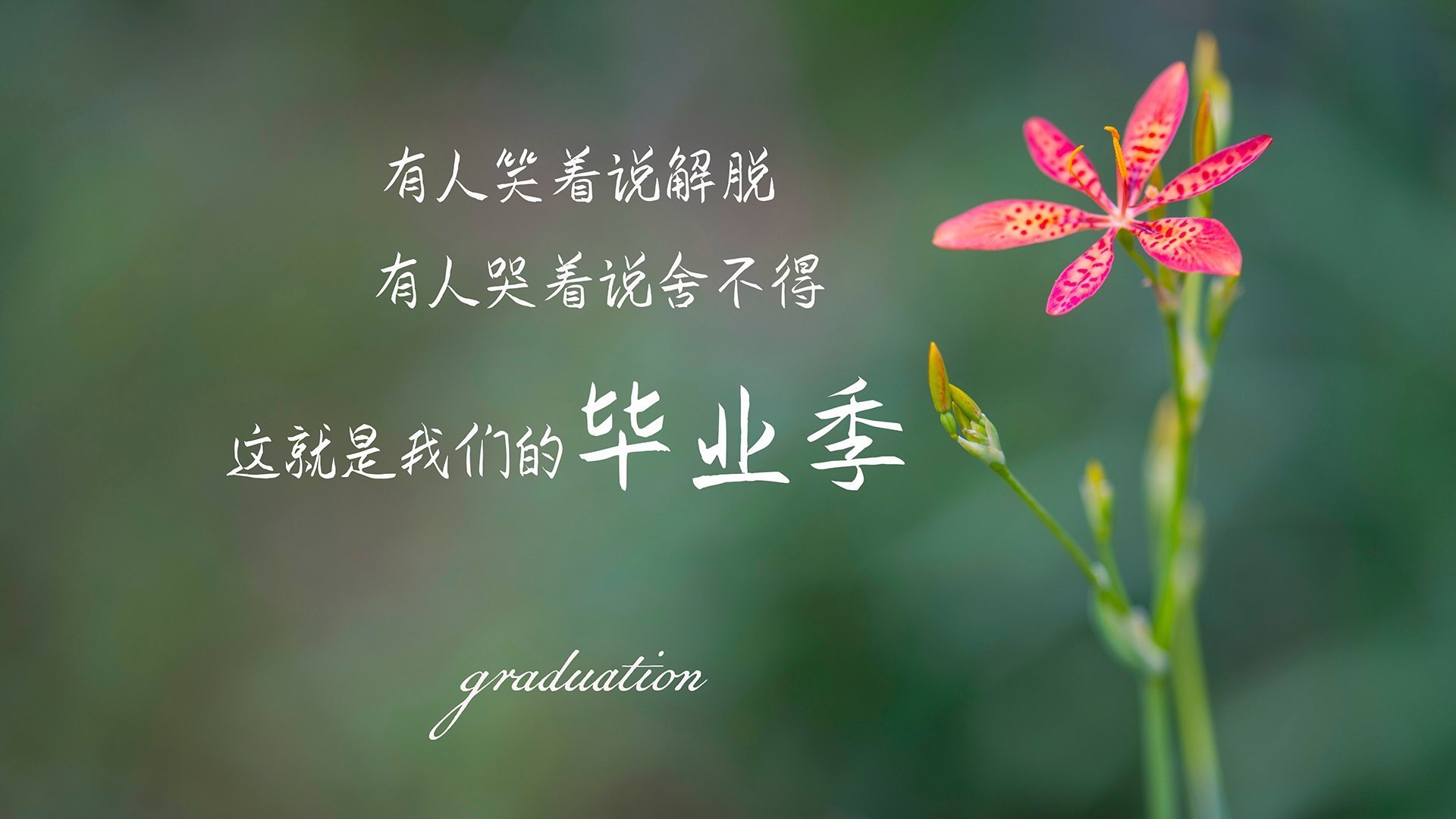 孤胆破双日，詹姆斯背靠背40+三双，黄蜂太阳同成王座注脚