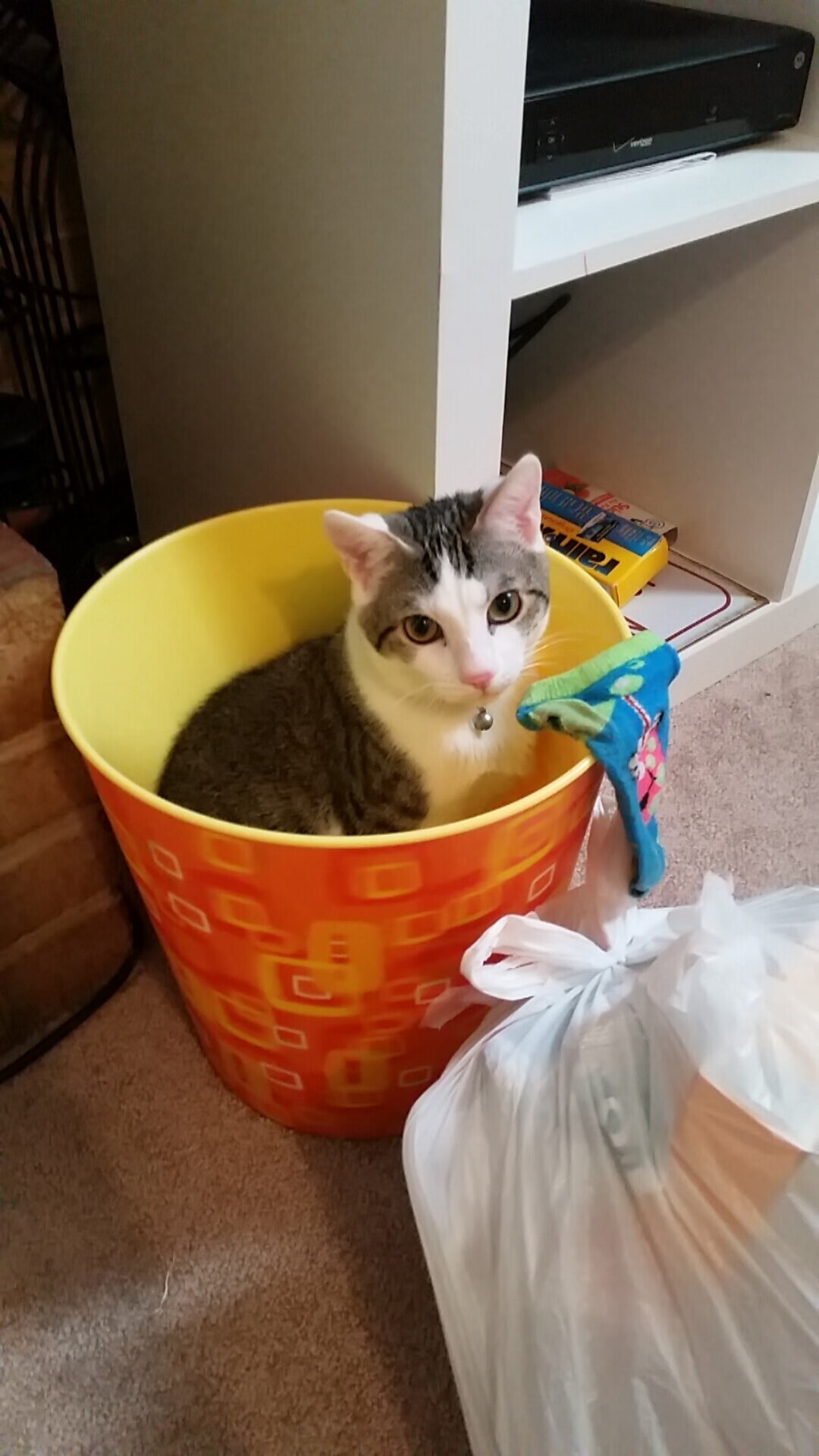 跨界焦点，德甲争冠战与太阳终结奇才的唯一性解读