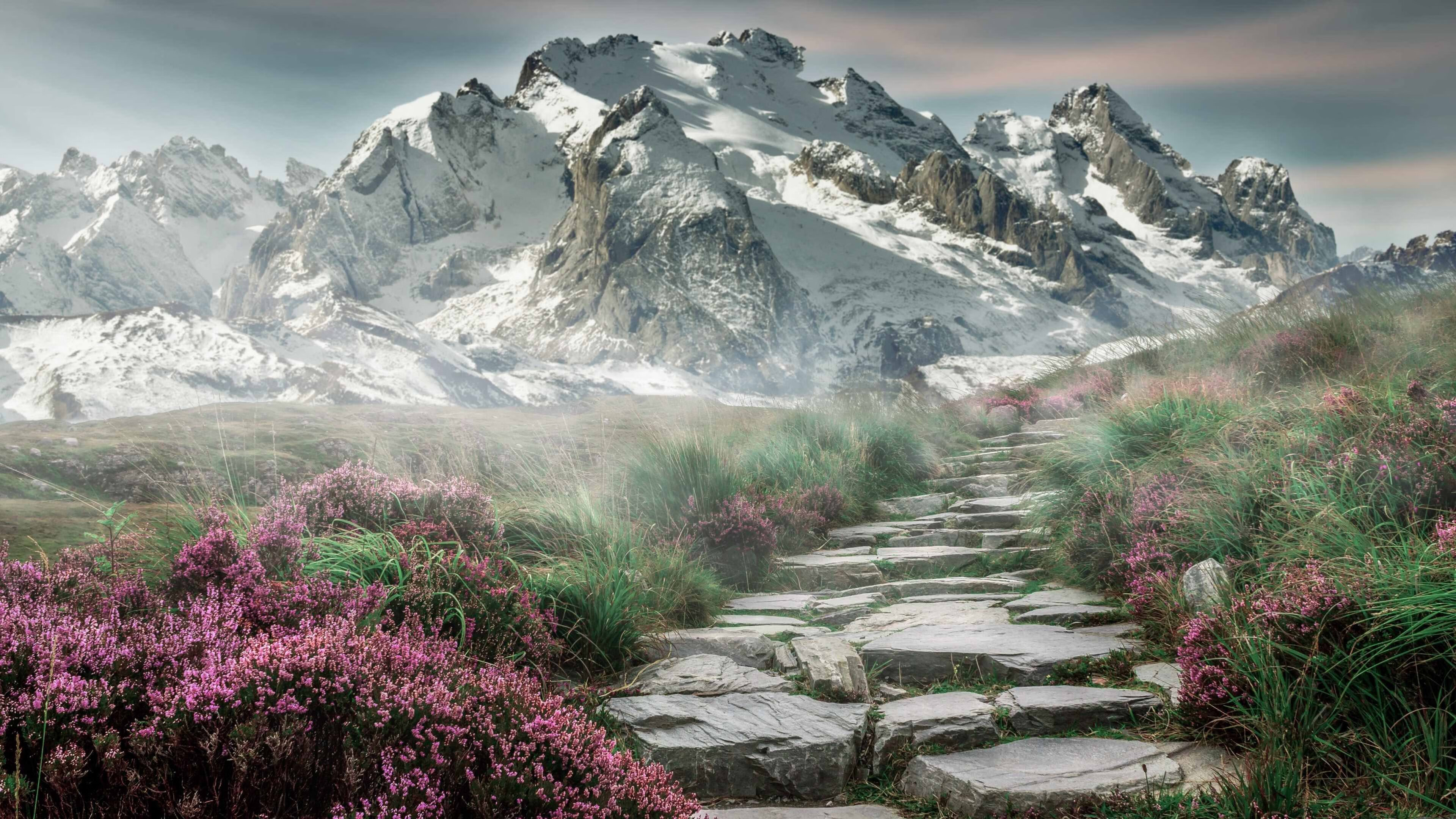 绿茵东决，哥伦比亚提前鸣金，波兰在美洲阳光下沉默