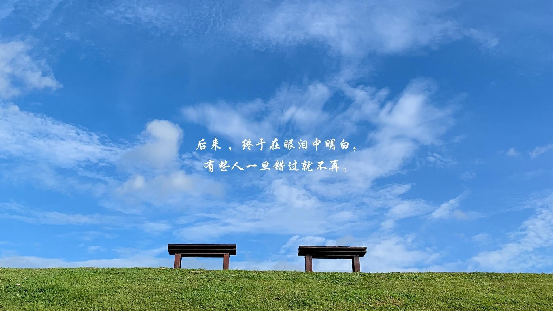 蓝衣军团的铁幕,2026世界杯H组,意大利如何用战术压制与天才闪光书写唯一剧本