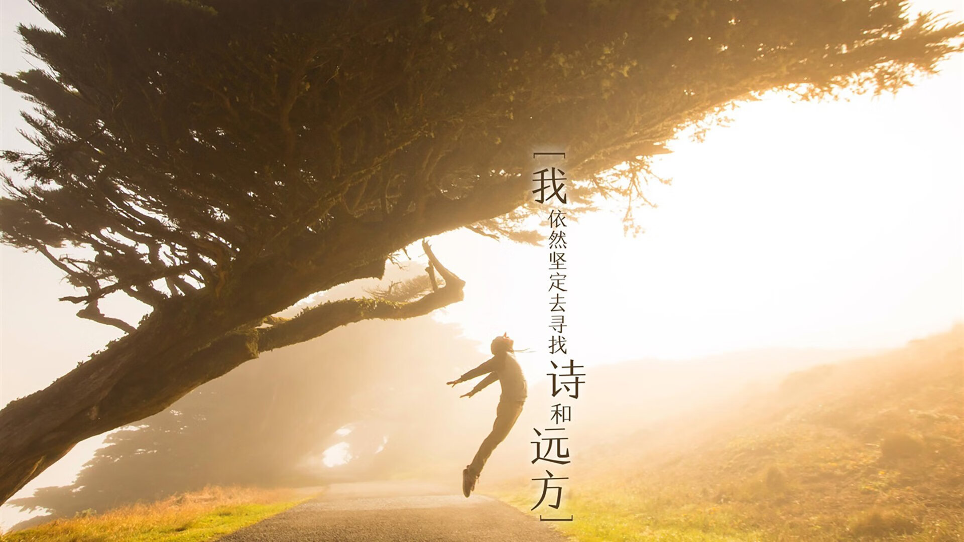 2026世界杯E组生死局，瑞士铁骑踏碎智利，C罗领葡萄牙进攻风暴席卷赛场