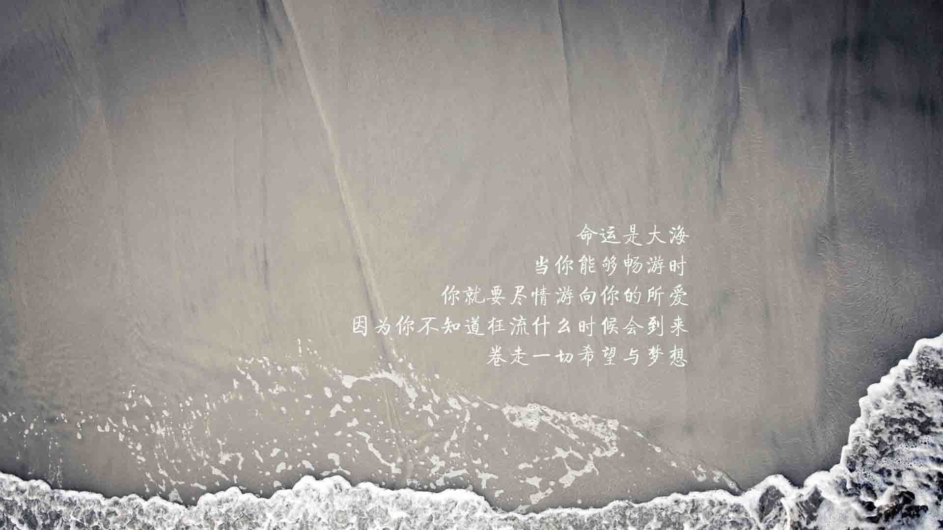 蓝黄风暴席卷多哈,布罗佐维奇铸就中场铁幕,厄瓜多尔横扫尼日利亚震撼2026世界杯A组